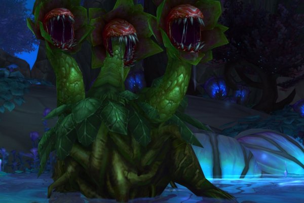 Kraken 5at