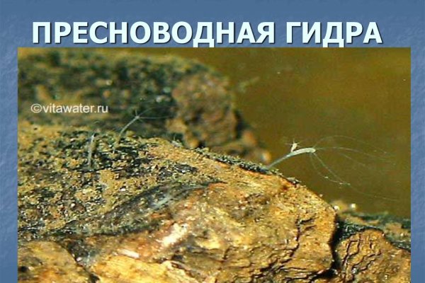 Кракен ссылка onion
