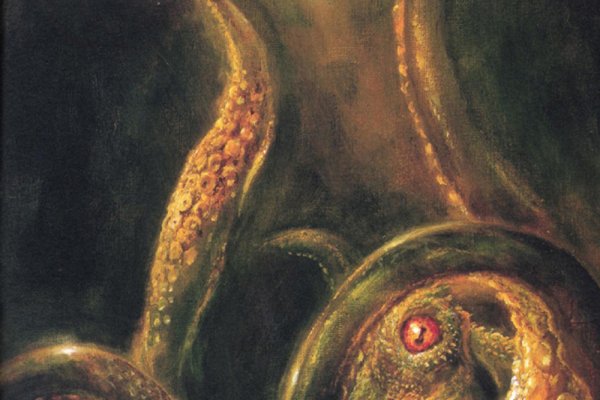 Kraken 20at net