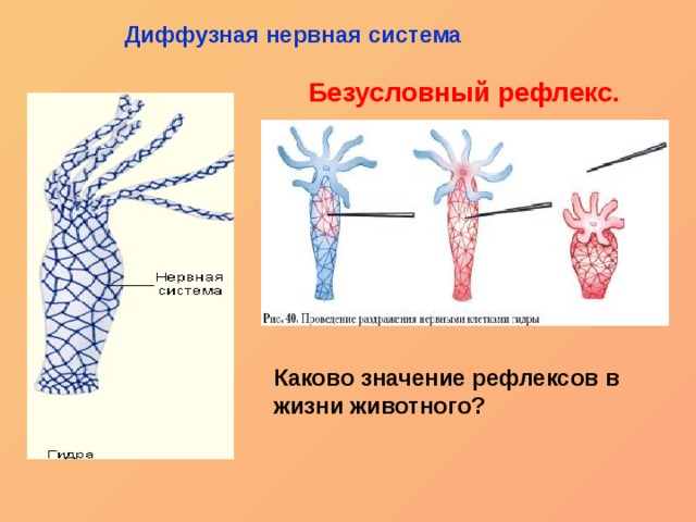 Кракен рабочее на сегодня сайт