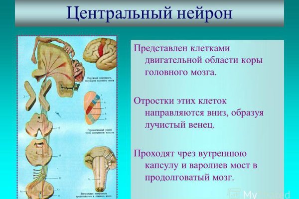 Ссылки на даркнет сайты